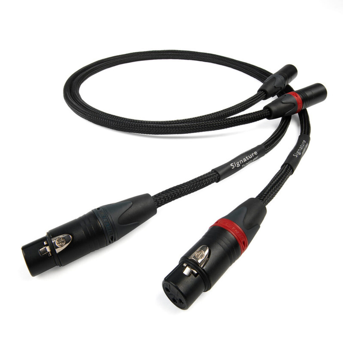 Chord Signature XLR